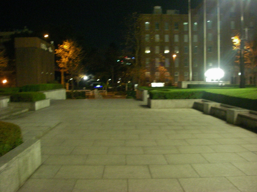 d0046294_13443457.jpg