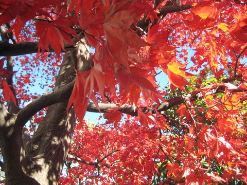 f0201297_1453615.jpg