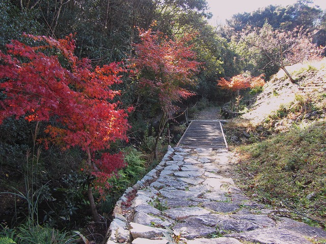 d0154609_10422238.jpg