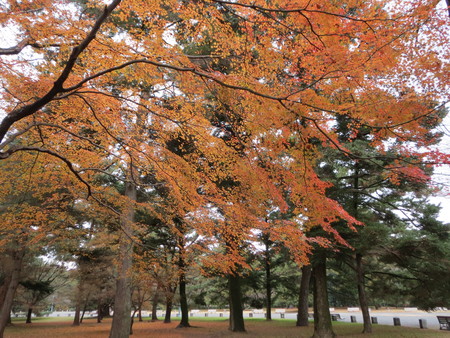 c0054212_12461738.jpg