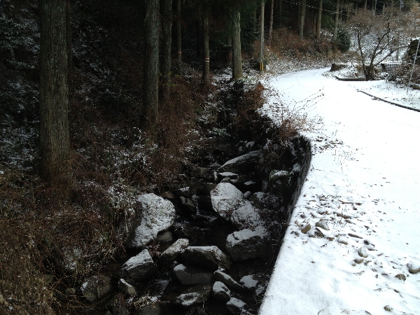 e0002314_20112593.jpg