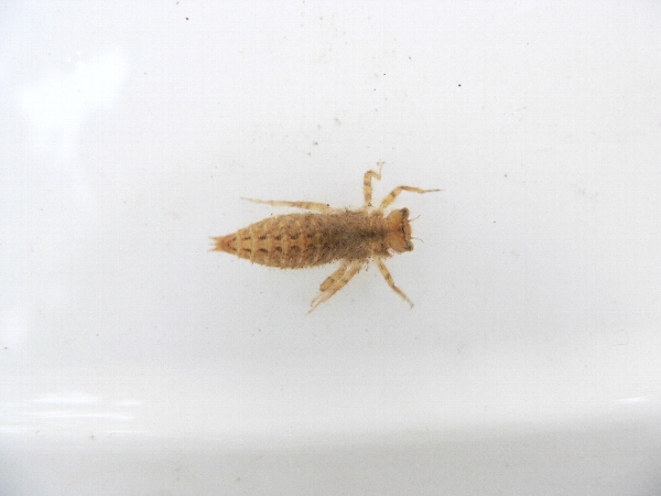 e0002314_20124124.jpg