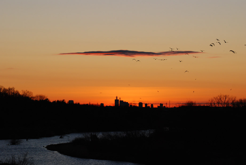 f0206417_10254992.jpg