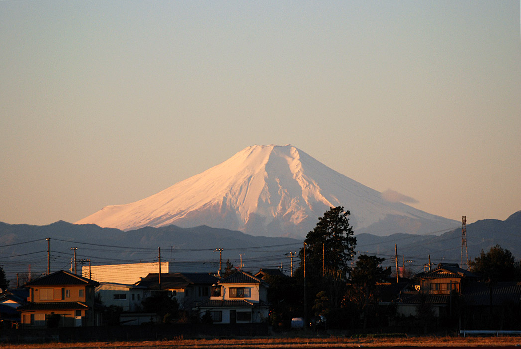 f0206417_10263656.jpg