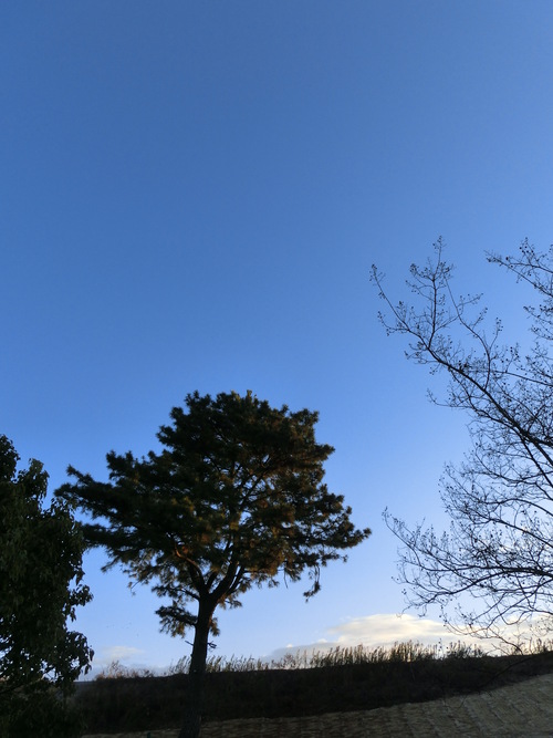 e0179321_21531142.jpg