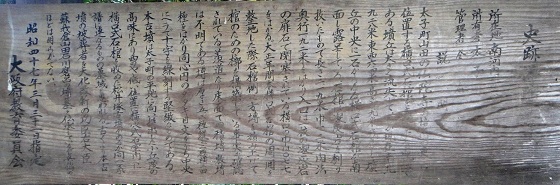 f0000521_621137.jpg