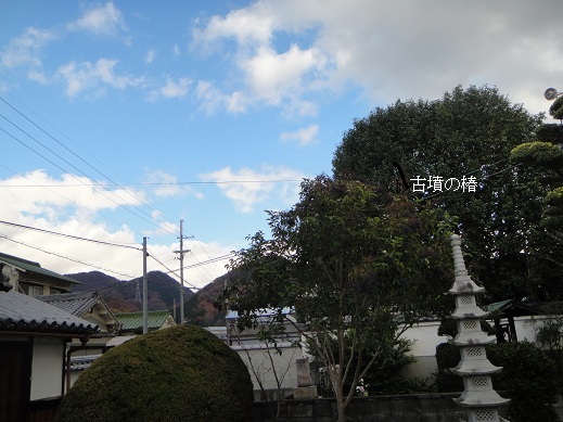 f0000521_645457.jpg