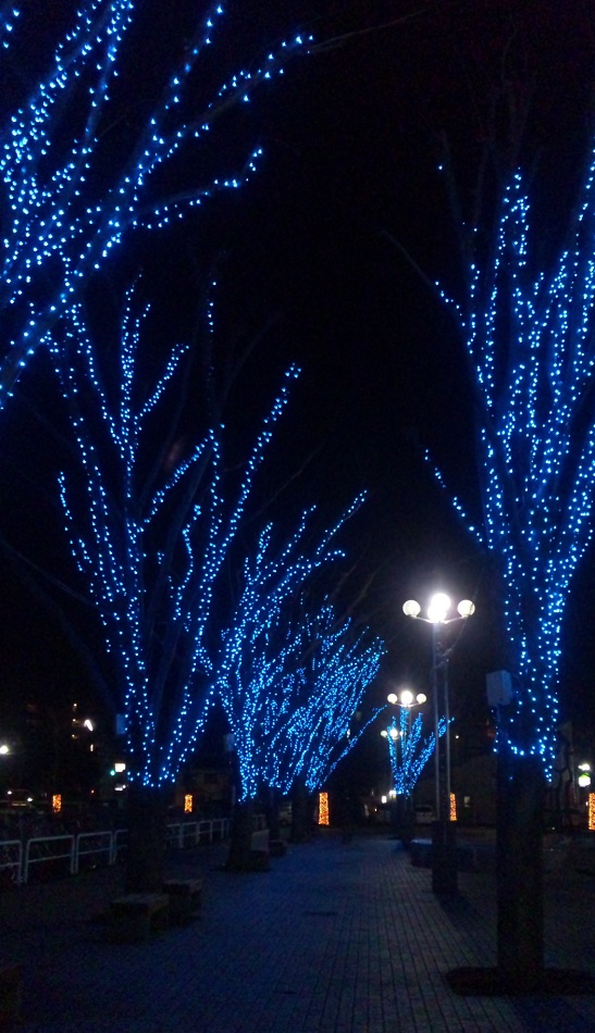 b0199924_18372524.jpg