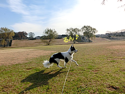 b0279527_20495155.jpg