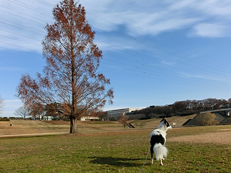 b0279527_2049614.jpg