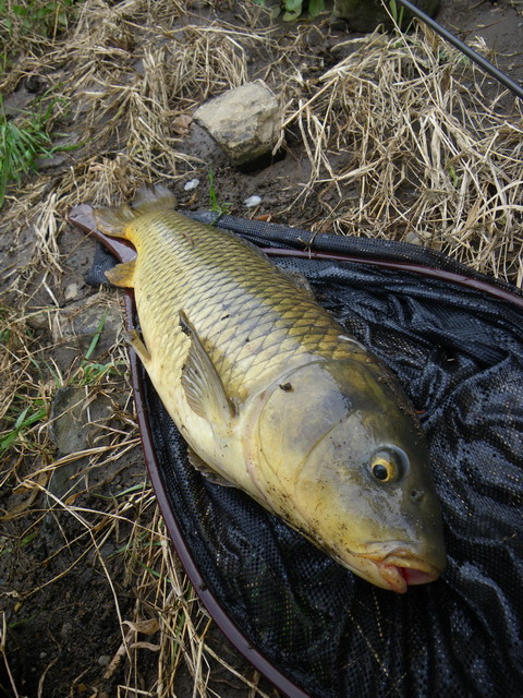 c0202727_172587.jpg