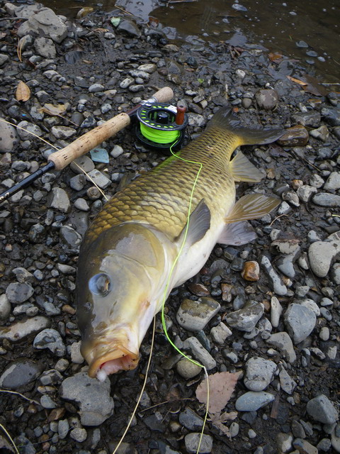 c0202727_1735540.jpg