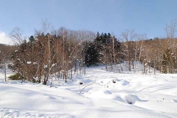 e0291827_9112674.jpg