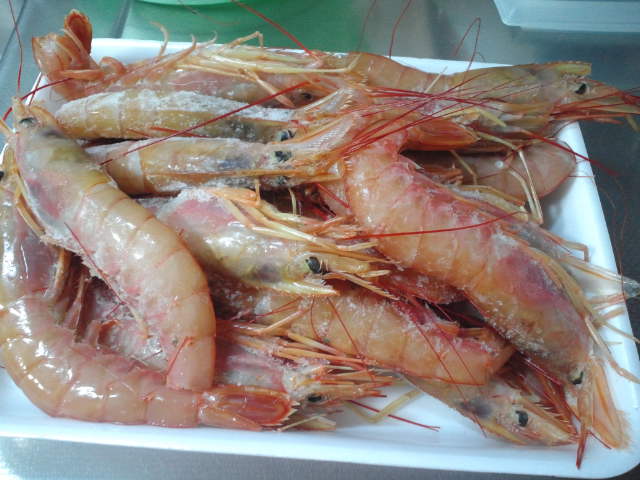 c0236632_038459.jpg