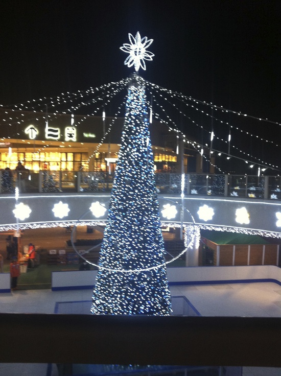 d0013834_034351.jpg