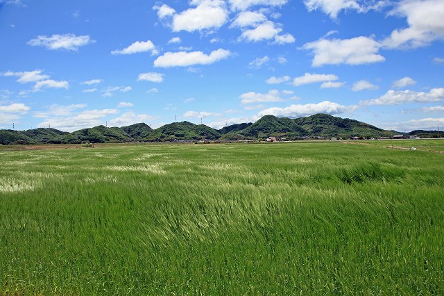 a0242438_19512675.jpg