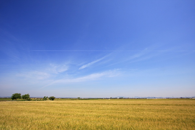 a0242438_19533052.jpg