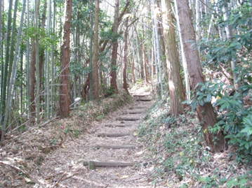 c0077338_226469.jpg