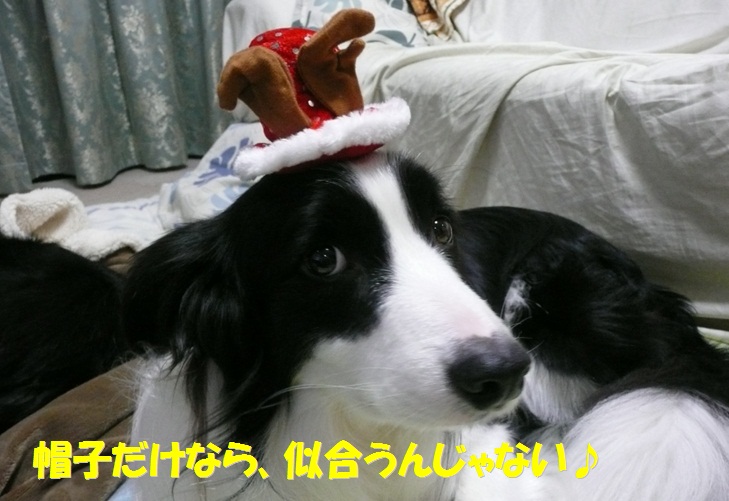 c0147241_21191082.jpg