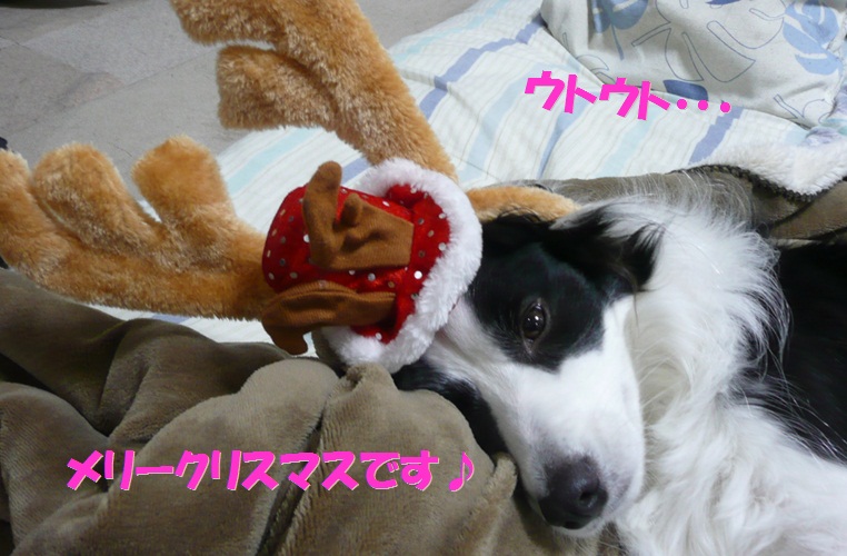 c0147241_21192816.jpg