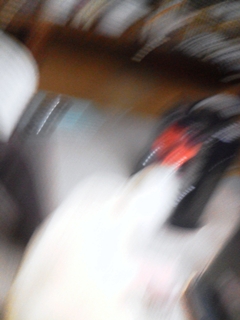 f0195543_2039181.jpg