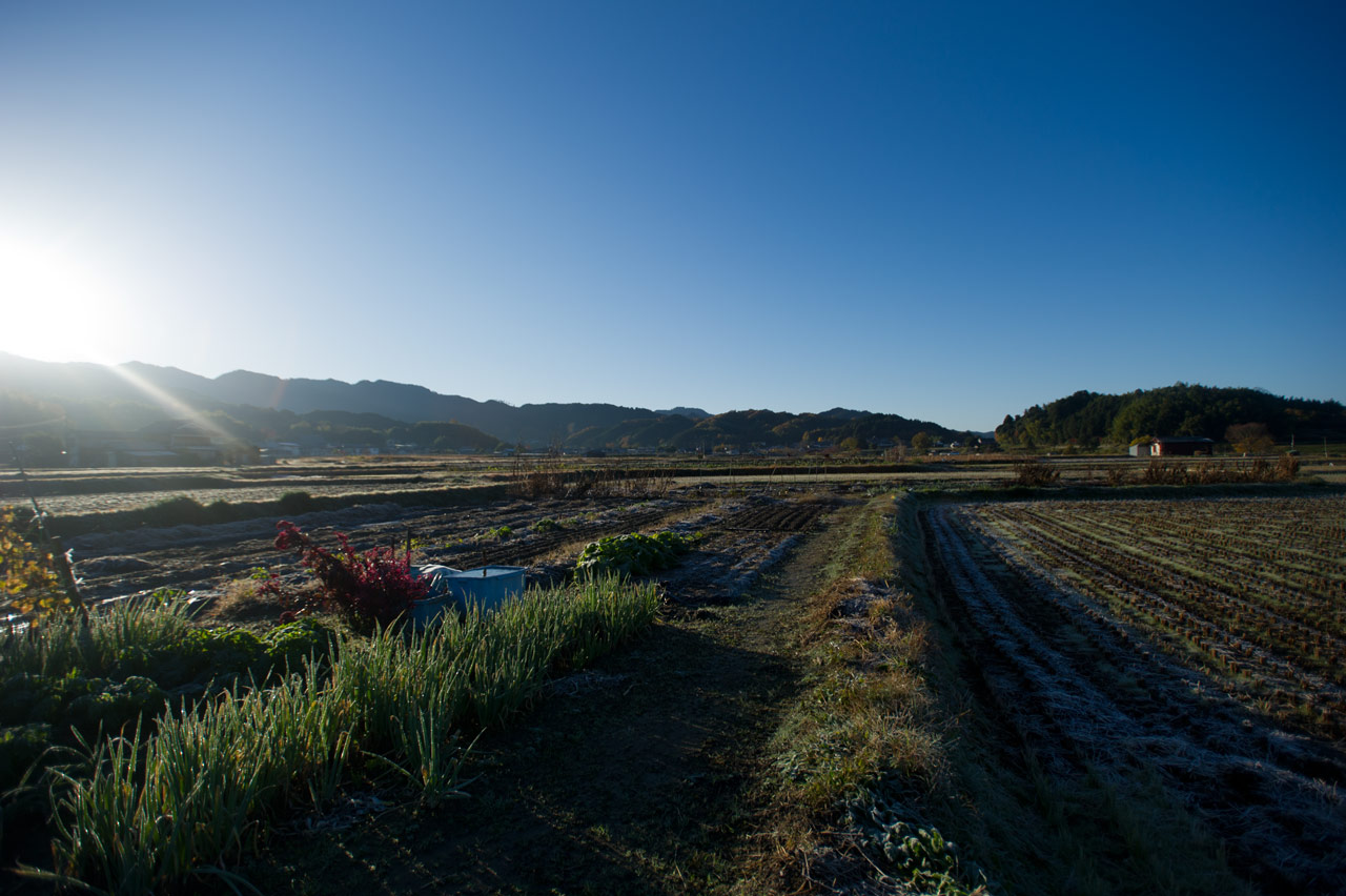 b0023047_635875.jpg