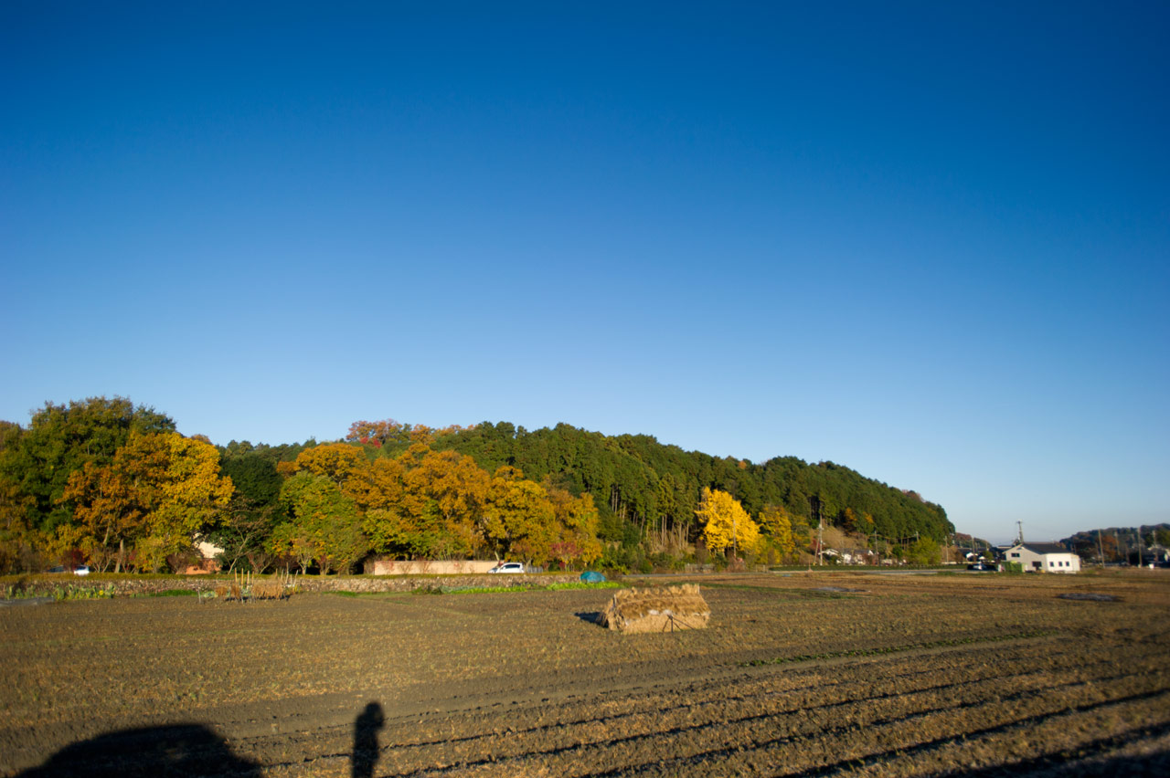 b0023047_64673.jpg