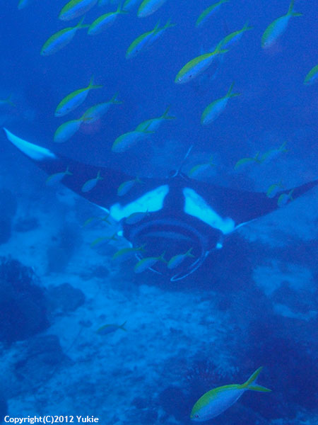 e0027447_20553528.jpg
