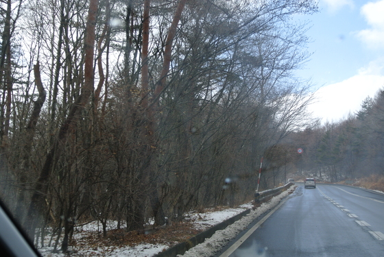 e0121548_2025629.jpg