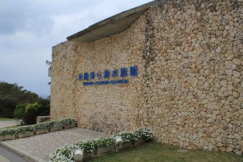 a0004752_21563197.jpg