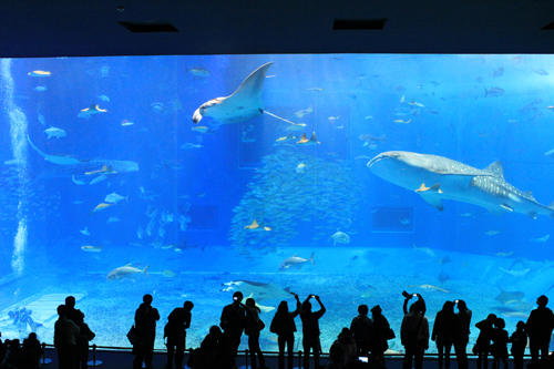a0004752_21564728.jpg