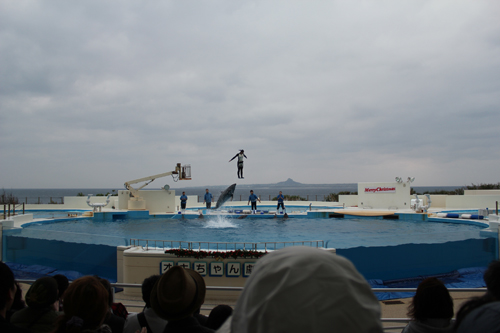 a0004752_2156556.jpg