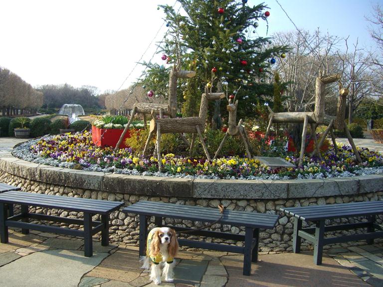 b0279153_212732.jpg
