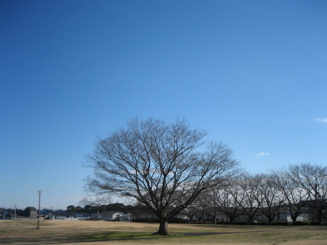 e0271461_14534095.jpg