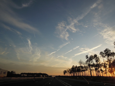 a0199262_6551220.jpg