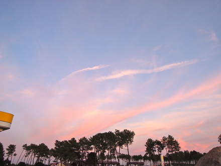 a0199262_8382721.jpg