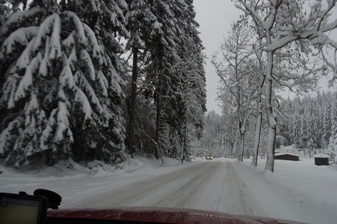 f0138768_445171.jpg