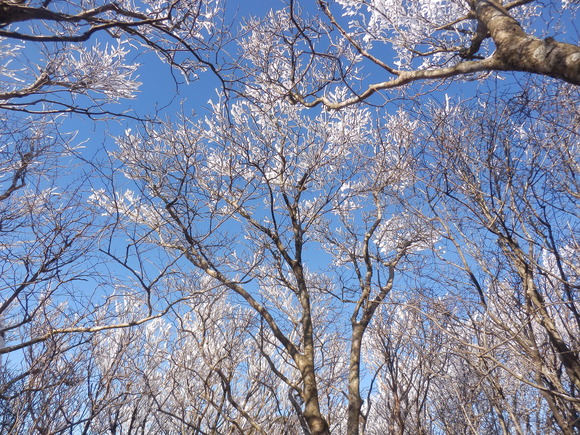 c0042869_18582094.jpg