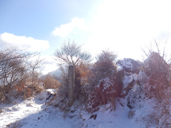 c0042869_18584871.jpg