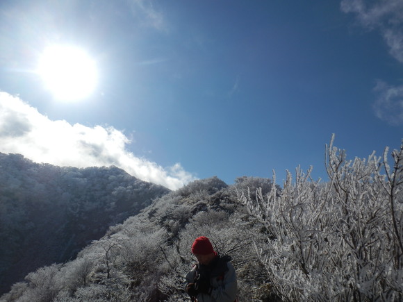 c0042869_21174511.jpg
