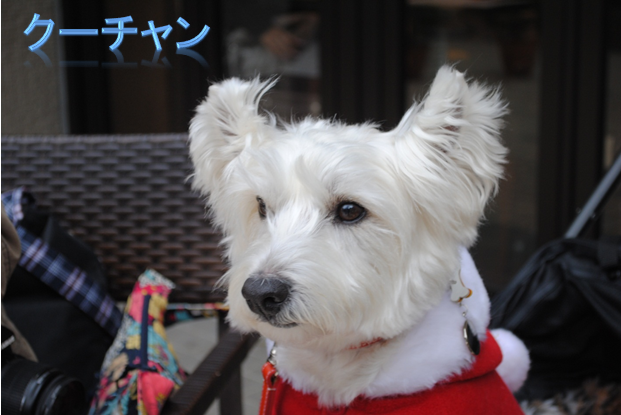 b0242873_23505723.png