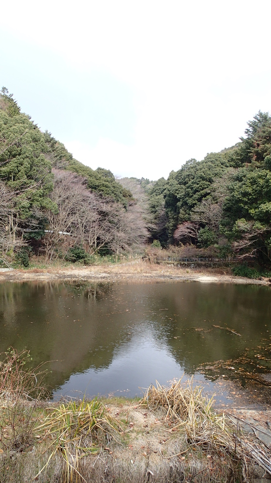 e0024081_15592072.jpg
