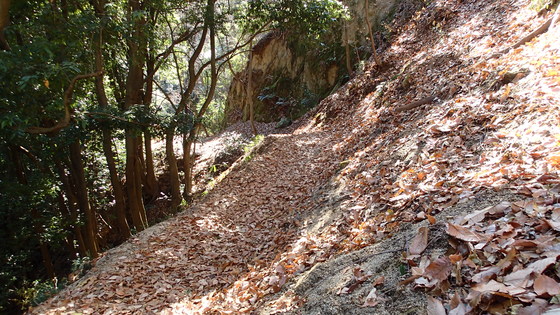 e0024081_1611475.jpg
