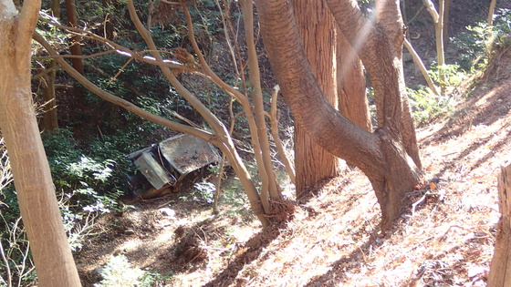 e0024081_16123.jpg