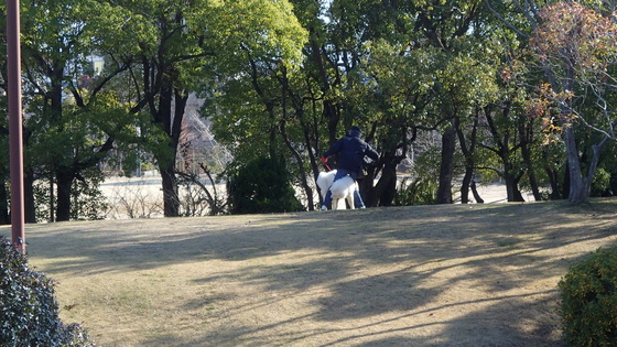e0024081_1625514.jpg