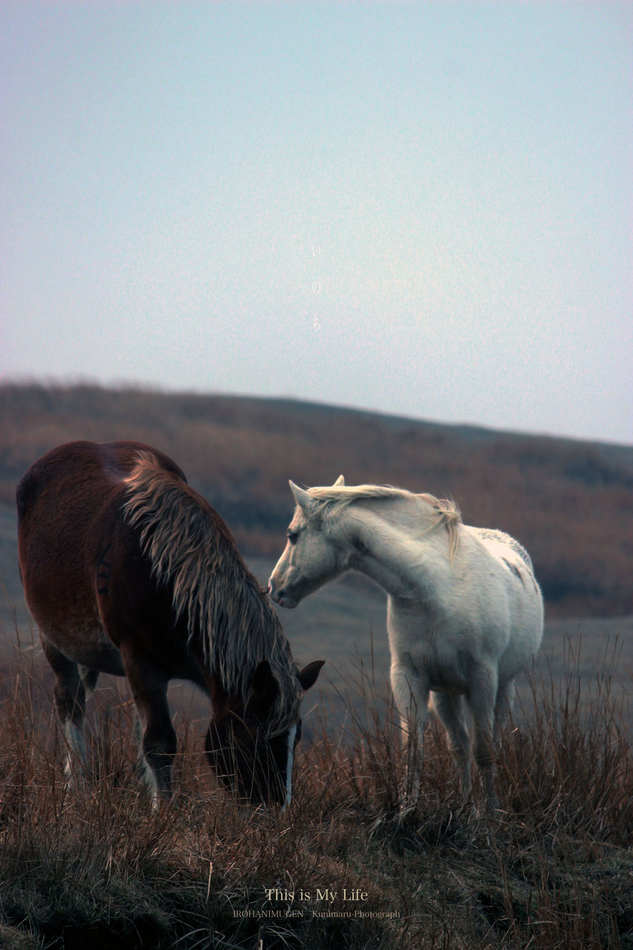 f0221382_1034481.jpg