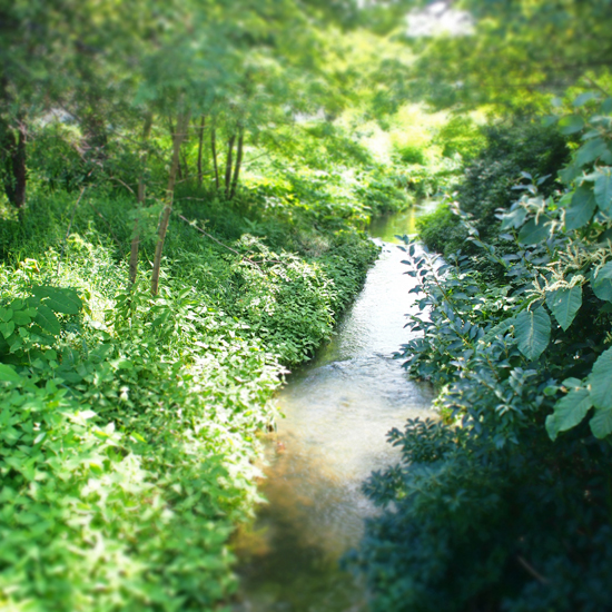 c0160185_1324555.jpg
