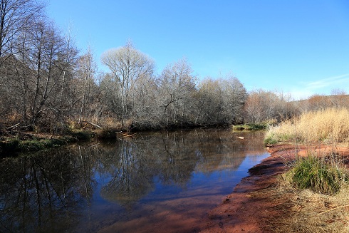 e0148185_813345.jpg