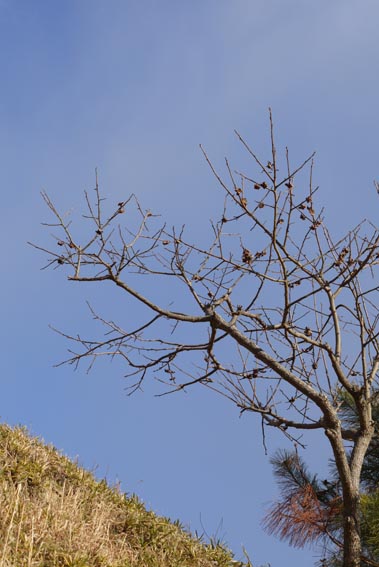 f0222692_1824441.jpg