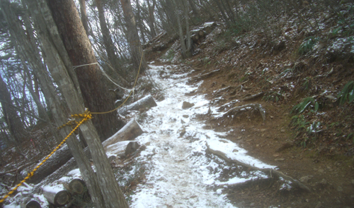 b0099994_15522277.jpg